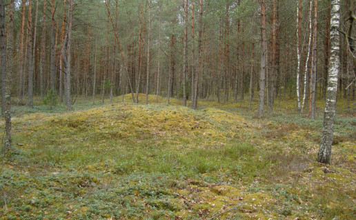 17_Senųjų Miežionių pilkapynas.jpg